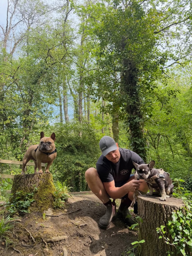 training french bulldogs