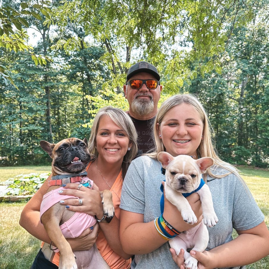 french bulldogs in ranch facility