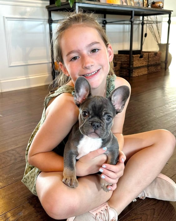 French bulldog puppy and Tina